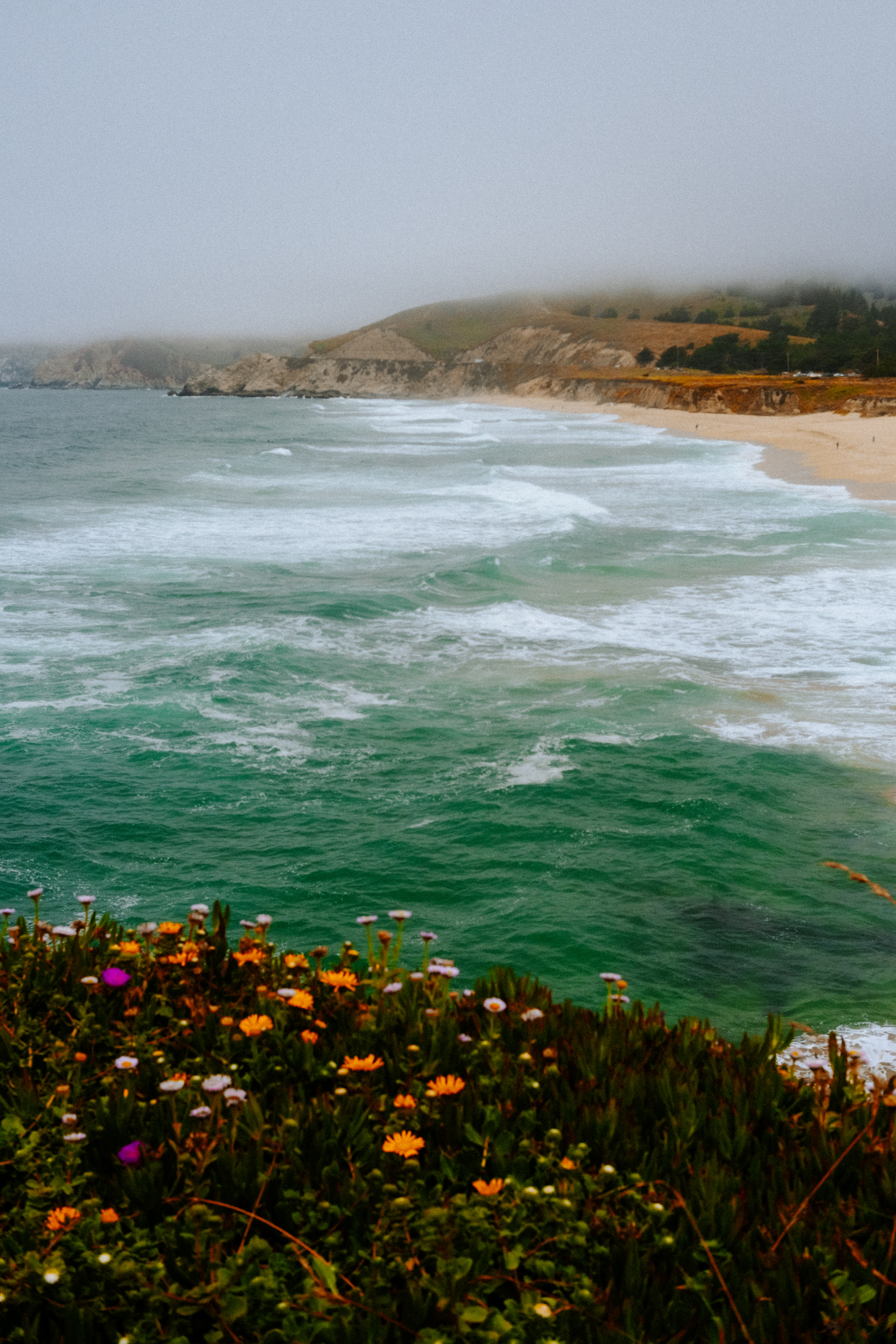 Emerald waves crashing on a misty coastline with wildflowers